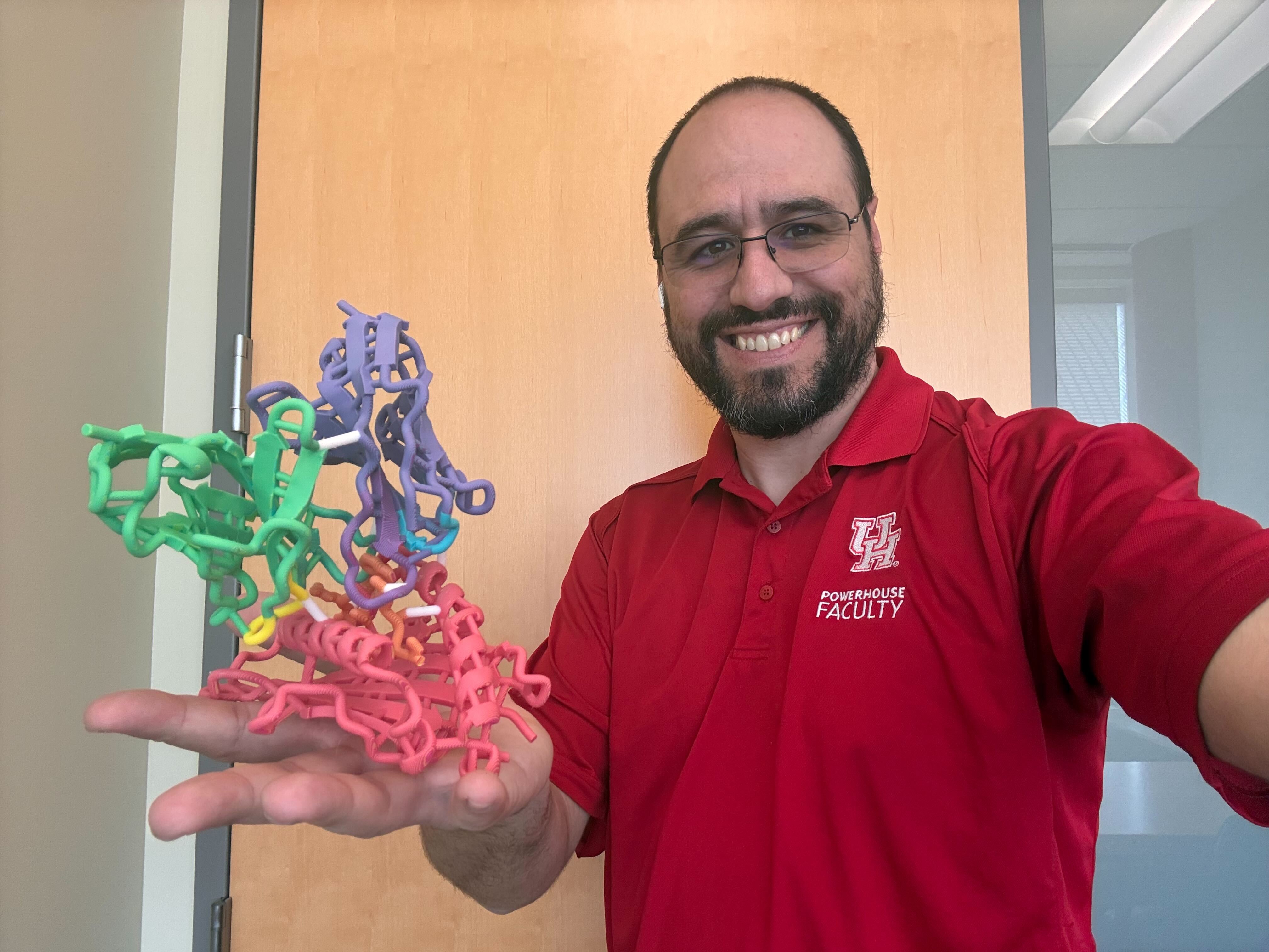 Dinler holding a 3D printed model of a TCR-peptide-HLA complex. Model produced by Finn Beruldsen, PhD candidate in the Biochemistry Graduate Program at University of Houston.